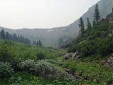 Экологический туризм